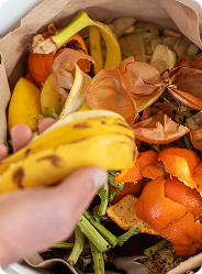 Déchets biodégradables